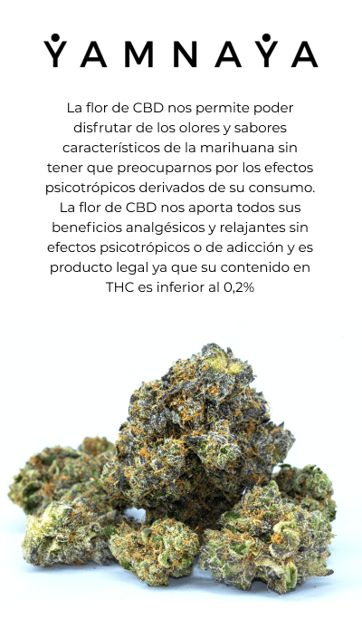 Cannabis legal
