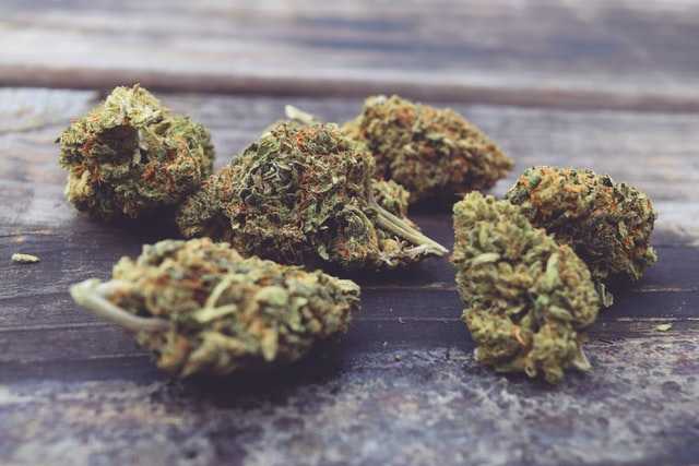 Cannabis legal